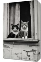 Obraz 30x50cm Para w Oknie