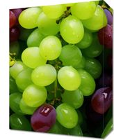 Obraz 30x40cm Winogronowy Kalejdoskop