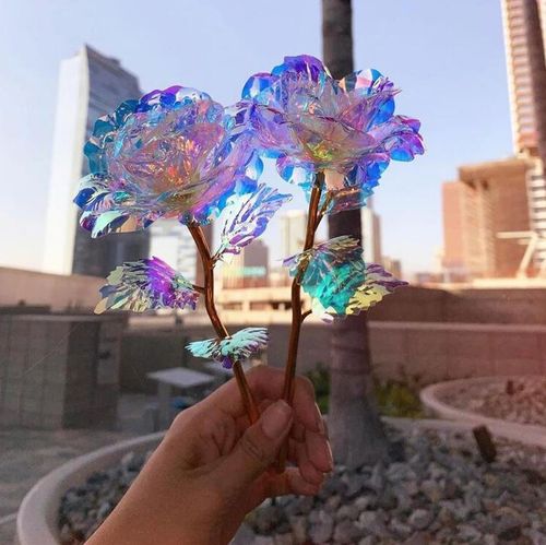 Wieczna róża tęczowa na Arena.pl