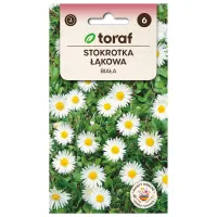 product-compare-58303556