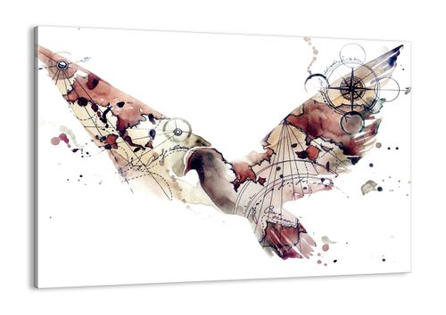 Obraz Na Płótnie - Gołąb Kompas Mapa - 100X70 Cm - Aa100X70-4109 na Arena.pl