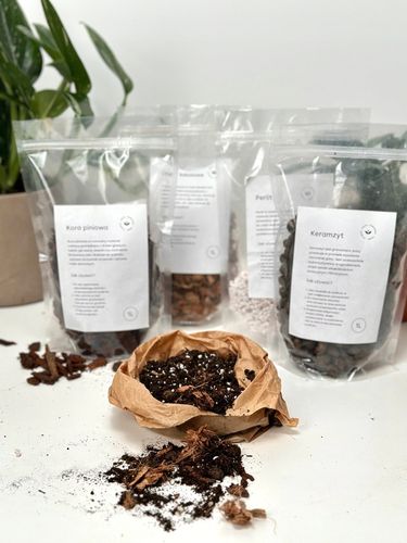 Liść laurowy przyprawa do kuchnii dodatek do zup na Arena.pl