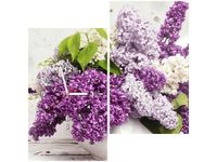 product-compare-58615530