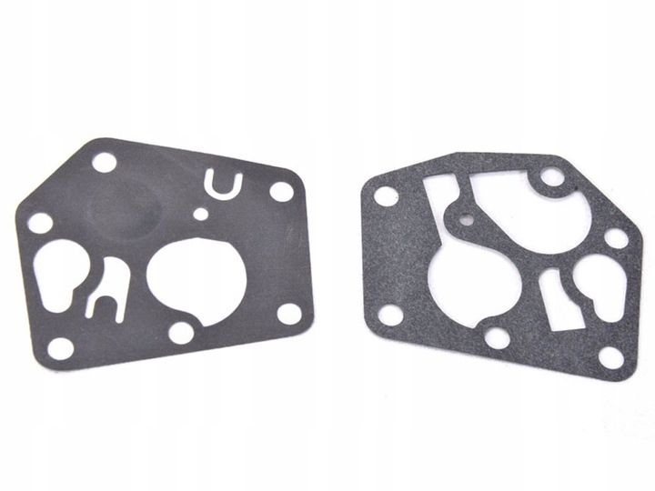 Zestaw naprawczy membran Briggs & Stratton zdjęcie 1