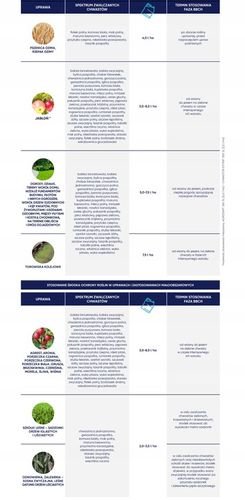 AGROSAR 360SL ŚRODEK CHWASTOBÓJCZY NA CHWASTY perz wiechliny mlecz 1l Ciech na Arena.pl