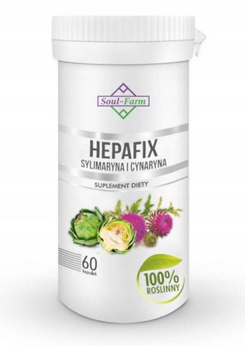 2X Hepafix Ostropest Karczoch sylimaryna 2x60 kaps na Arena.pl
