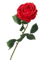 SZTUCZNE KWIATY ROŚLINY RÓŻA POJEDYNCZA XXL 62CM