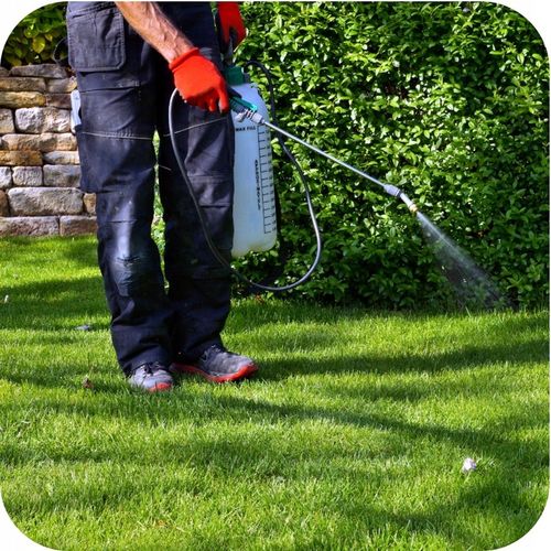 NAWÓZ ANTYMECH FLOROVIT 8KG INTERWENCYJNY DO TRAWNIKÓW TRAWNIKA Z MCHEM na Arena.pl