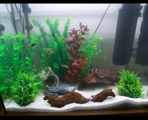 Naturalnie Biały Piasek Kwarcowy do Akwarium 0,5-1mm 24kg na Arena.pl