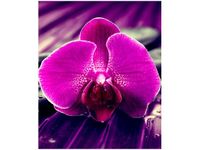 product-compare-58656731