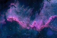 Tło fotograficzne Produktowe FLAT LAT Kulinarne