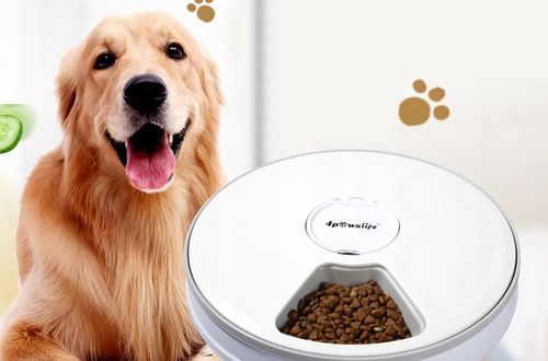 Podajnik dozownik suchej karmy automat czasowy timer dla psa kota miska na Arena.pl