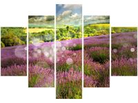 105CM 150CM OBRAZ 5 ELEM SŁONECZNY KRAJOBRAZ DRUK