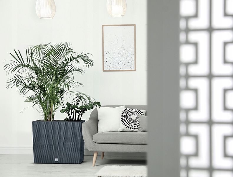 Doniczka podłużna, wysoka RATO Case DRC600T | Antracyt, Kształt Prostokątny, Wymiary 18x58x49.8 cm, Kolor Antracyt, Prosperplast zdjęcie 4