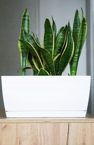 3x Doniczka COUBI + Podstawka Kwietnik Kaktusiarka na Arena.pl