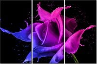 60 90CM OBRAZ 3 ELEM RÓŻA FARB JAKUB BANAŚ DRUK PŁÓTNO RAMA