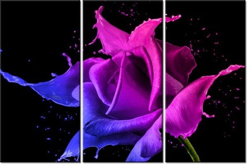 60 90CM OBRAZ 3 ELEM RÓŻA FARB JAKUB BANAŚ DRUK PŁÓTNO RAMA na Arena.pl