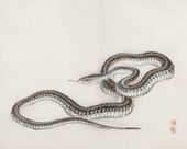Plakat 50x40cm Snake, Kōno Bairei