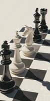 Plakat 50x100cm Szach i Mat