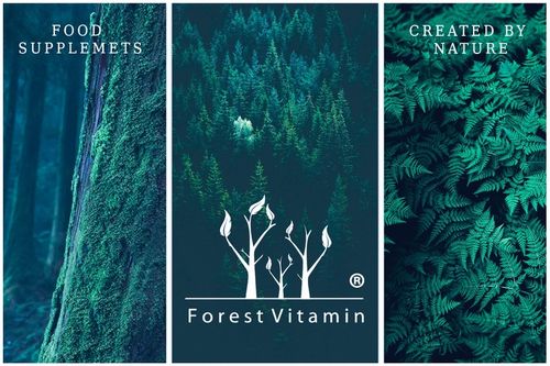 MSM SIARKA ORGANICZNA KOLAGEN STAWY KOŚCI MOCNA na Arena.pl