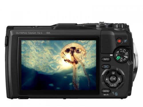 Olympus TG-5 czarny na Arena.pl