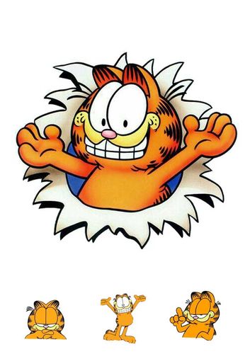 Wydruk cukrowy na tort A4 Garfield + napis gratis na Arena.pl