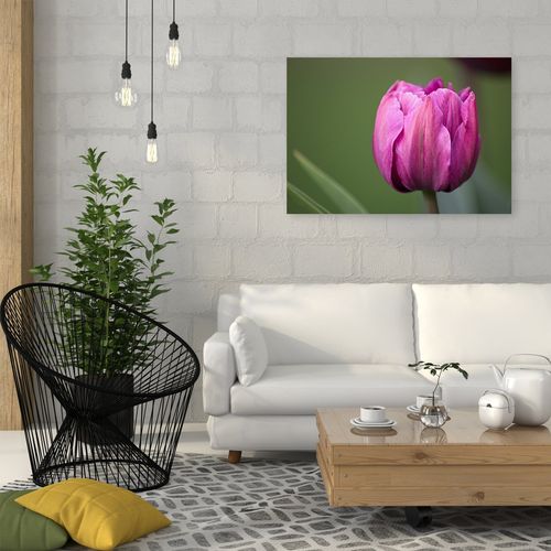 Deco Panel, Fioletowy tulipan 60x40 na Arena.pl