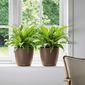 thumbnail-4