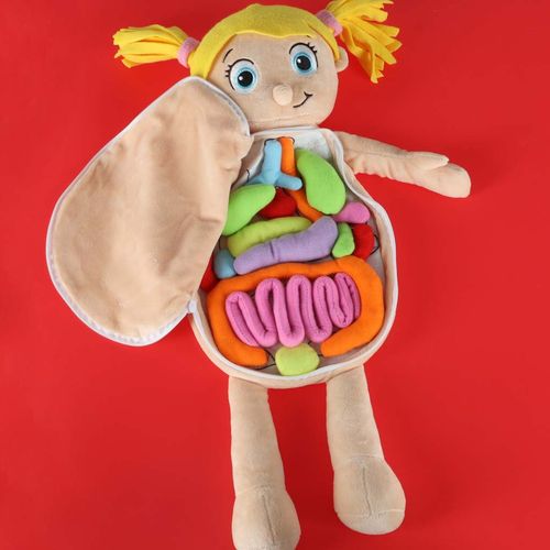 INTERAKTYWNA LALKA EDUKACYJNA DO NAUKI ANATOMII na Arena.pl