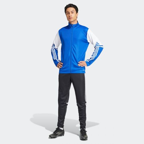 Bluza adidas Squadra 25 Training M JD2980 S na Arena.pl