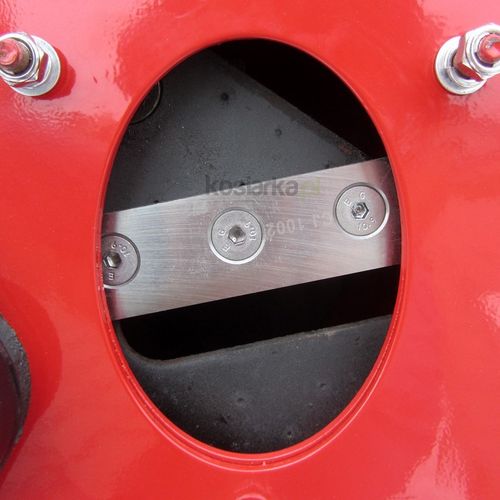 Faworyt FRS65BS na Arena.pl