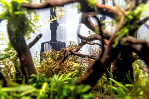 AQUAEL FILTR ZEWNĘTRZNY DO AKWARIUM HYPERMAX LINK na Arena.pl