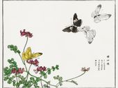 Plakat 80x60cm Motyle i Kwiaty Morimoto Toko Japoński Vintage do Salonu