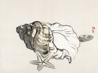 Plakat 100x75cm Star Fish and Conchby, Kōno Bairei  Vintage do Salonu