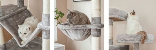 DRAPAK DRZEWO WIEŻA DOMEK DLA KOTA DUŻA 206CM SZARA XXL na Arena.pl