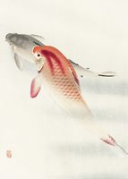 Plakat 25x35cm Two Carp, Koson Japoński Vintage do Salonu