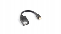Adapter DisplayPort - mini DisplayPort Lanberg 10 cm czarny