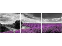 70 90CM OBRAZ 3 ELEM LAWENDA ŚCIENNY DRUK PŁÓTNO