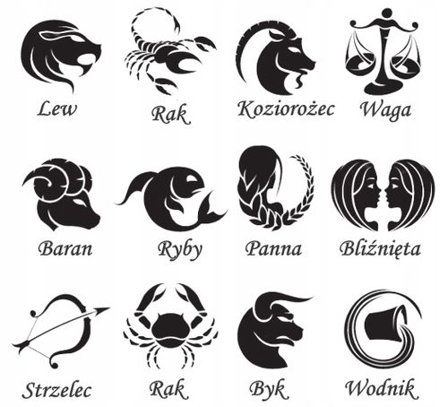 SREBRNY SOLIDNY NIEŚMIERTELNIK PR. 925 + GRAWER GRATIS - GRAWER ZDJĘCIA na Arena.pl