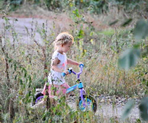 Rowerek Biegowy Dragon Air Green na Arena.pl