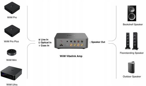 Wzmacniacz WiiM Vibelink Amp Silver na Arena.pl
