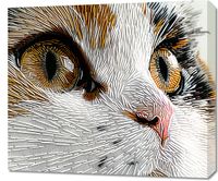 product-compare-59510255