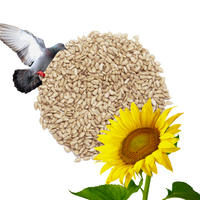 Słonecznik Łuskany  Karma Dla Ptaków Wysokobiałkowa Premium 5 kg