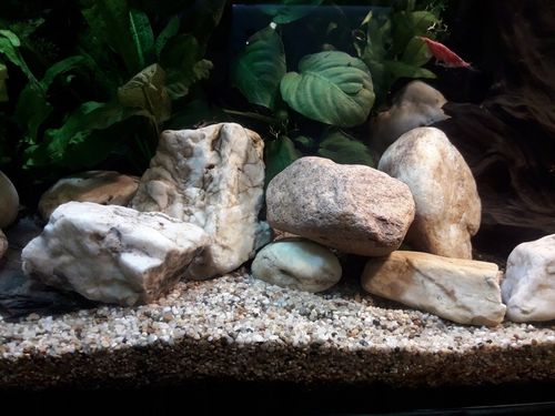 NATURALNY ŻWIREK 1-4 mm 25 kg AKWARIUM na Arena.pl