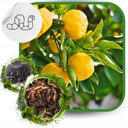 BIO Podłoże do Cytrusów 20l EKO Ziemia Oliwki Mango Awokado na Arena.pl