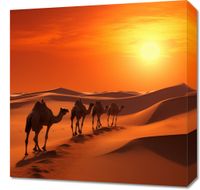Obraz 50x50cm Karawana na Pustyni