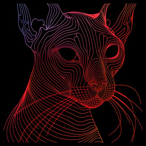 Plakat 40x40cm Cyfrowa Kocica na Arena.pl