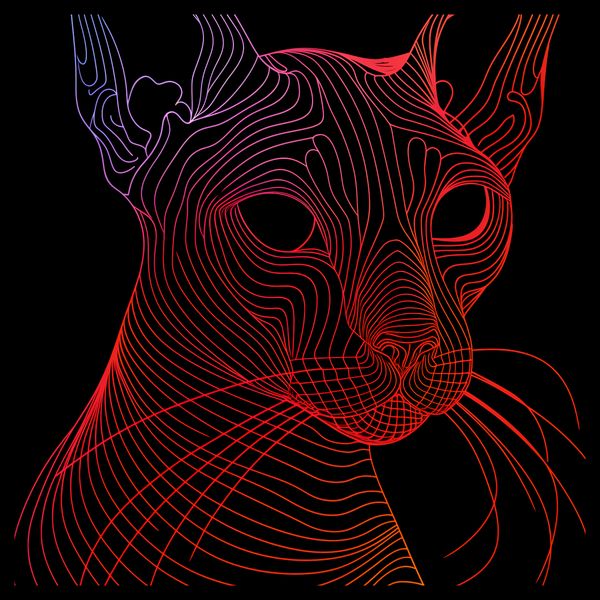 Plakat 40x40cm Cyfrowa Kocica zdjęcie 2