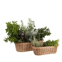 KOSZ WIKLINOWY DONICZKA OSŁONKA NA ZIOŁA I KWIATY 40X21 H12 CM