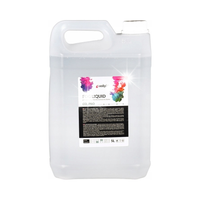 PŁYN DO WYTWORNIC DYMU MGŁY DYMIARKI EVOLIGHTS FOG LIQUID EFEKT CO2 PRO 5L
